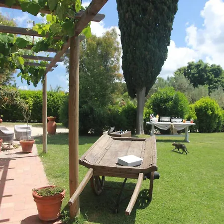 Azienda Agricola Sapereta * ポルト・アッズッロ