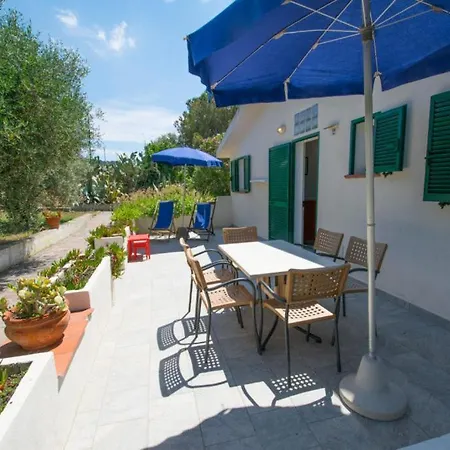 Feriegård Azienda Agricola Sapereta *