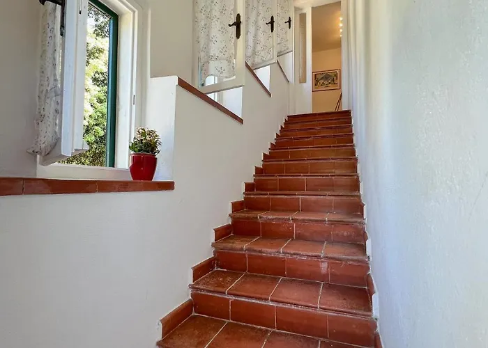 Azienda Agricola Sapereta