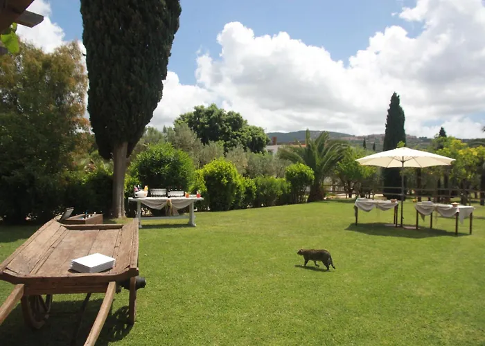 בית חווה Azienda Agricola Sapereta פורטו אזורו