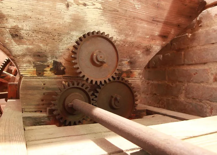 בית חווה Azienda Agricola Sapereta *