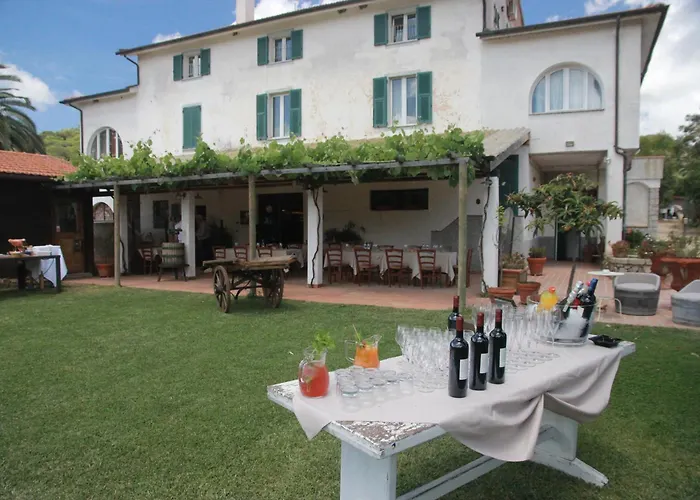 Azienda Agricola Sapereta