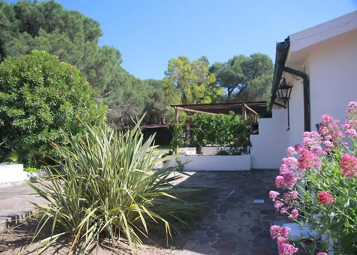 Azienda Agricola Sapereta בית חווה פורטו אזורו